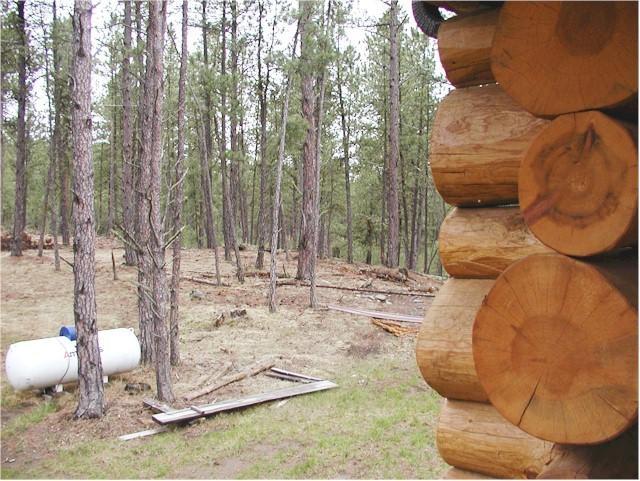 Trails End Lodge Кастер Номер фото